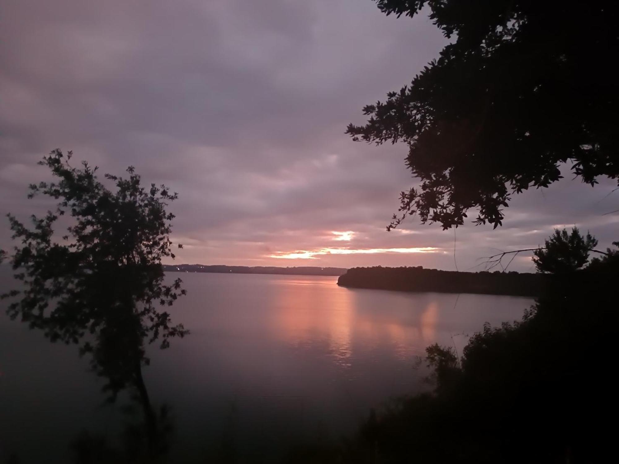 "Los Laureles" Vista Al Lago Frutillar Eksteriør billede